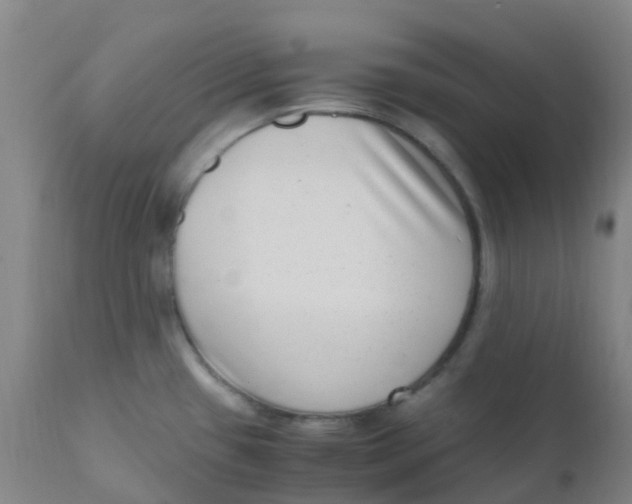 X0000110731433200907022059