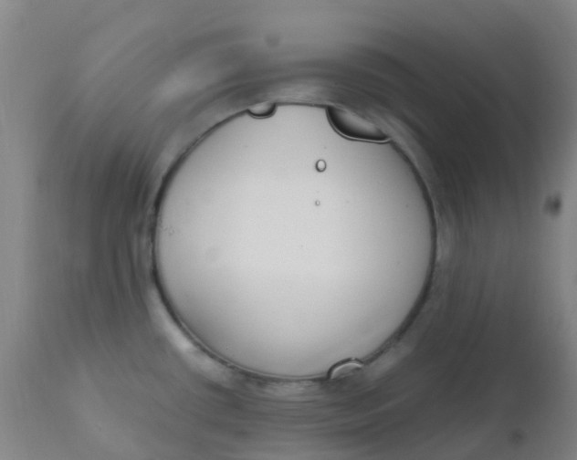 X0000110731434200907022059