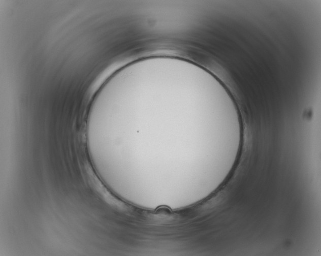 X0000110731436200907022059