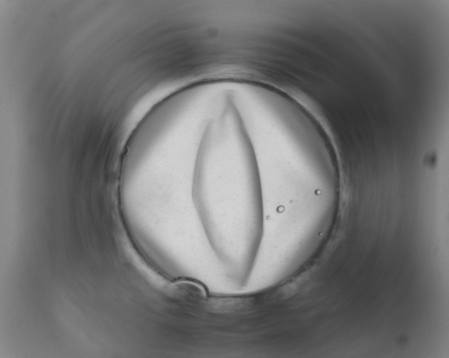 X0000110731437200907022059