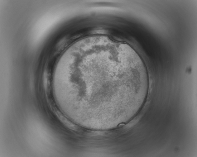 X0000110731438200907022059