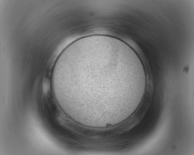 X0000110731439200907022059