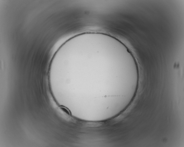 X0000110731440200907022059