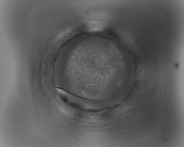 X0000110731441200907022059