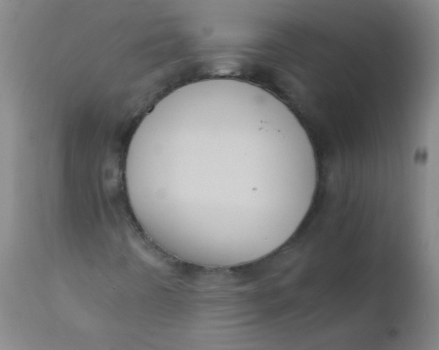 X0000110731442200907022059