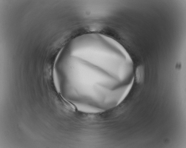 X0000110731443200907022059