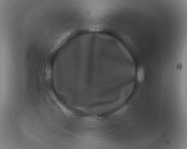 X0000110731444200907022059