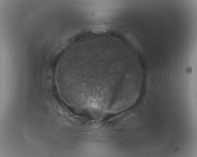 X0000110731445200907022059