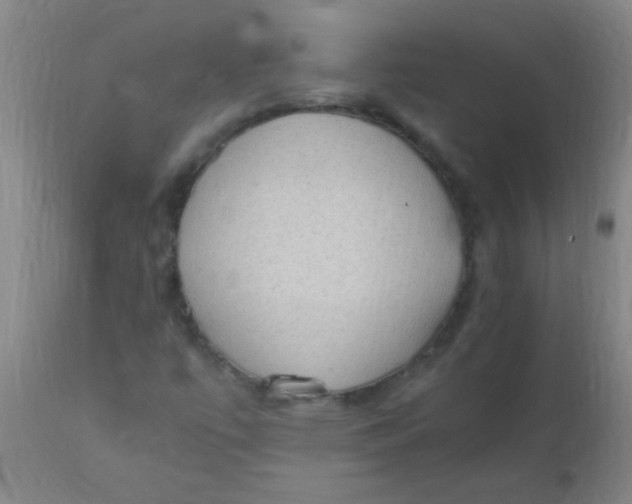 X0000110731447200907022059