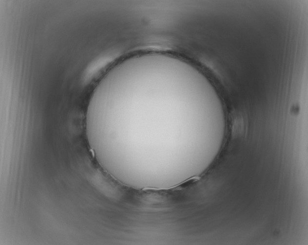 X0000110731448200907022059