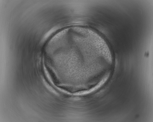 X0000110731450200907022059