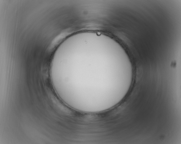 X0000110731451200907022059