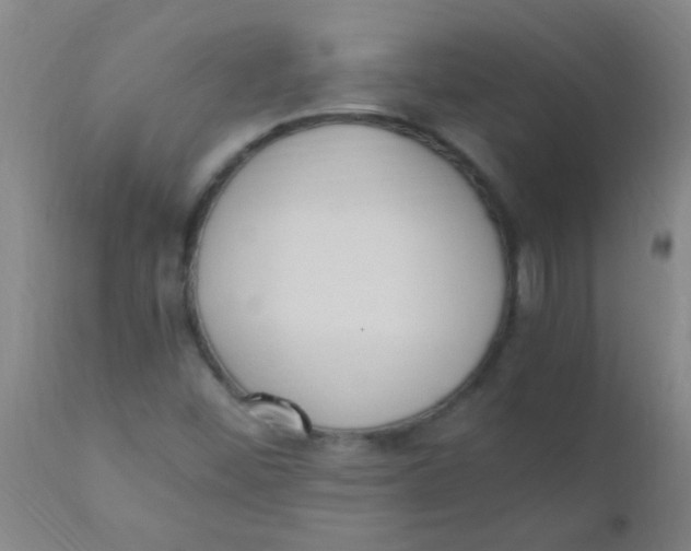 X0000110731452200907022059