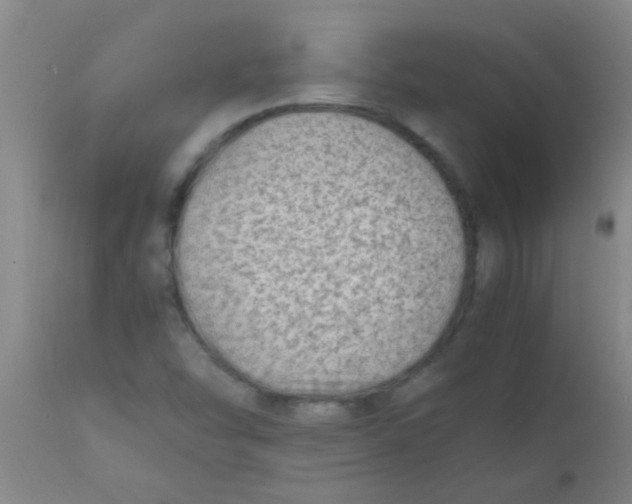 X0000110731454200907022059