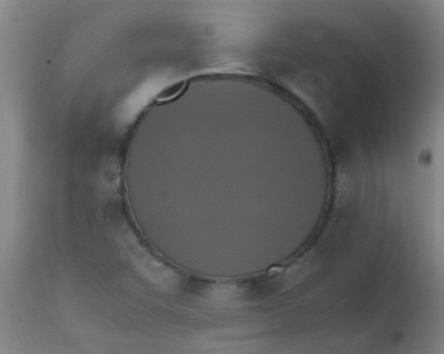 X0000110731455200907022058