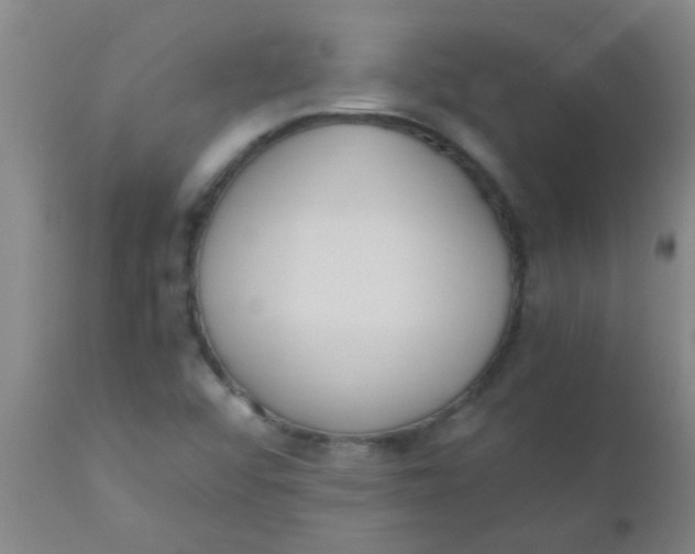 X0000110731456200907022058