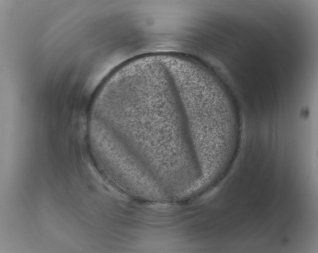 X0000110731457200907022058