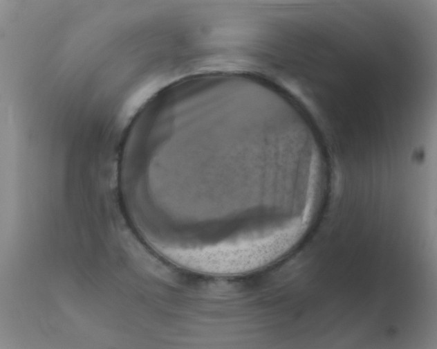 X0000110731459200907022058