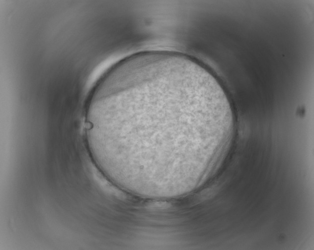 X0000110731462200907022058