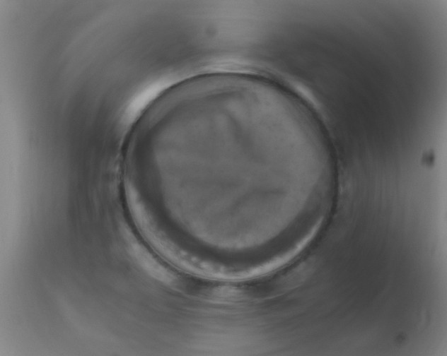 X0000110731463200907022058