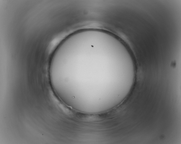 X0000110731464200907022058