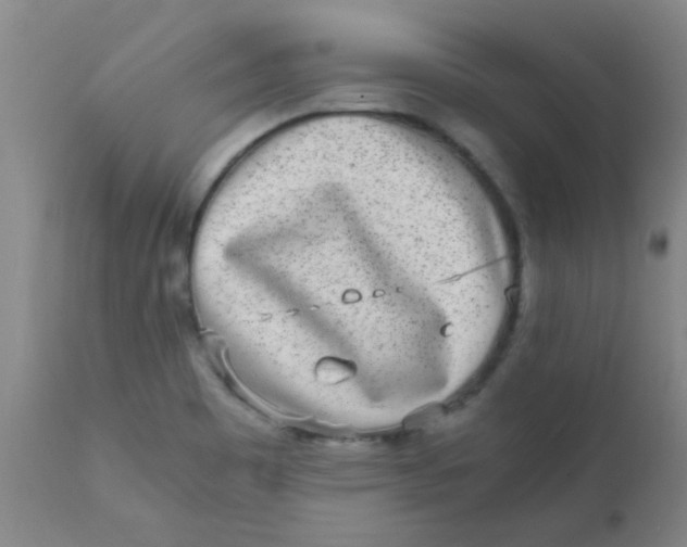 X0000110731465200907022058