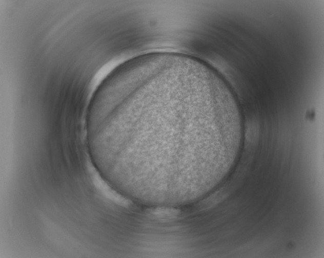 X0000110731466200907022058