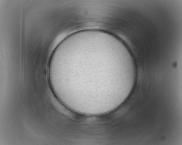 X0000110731467200907022058