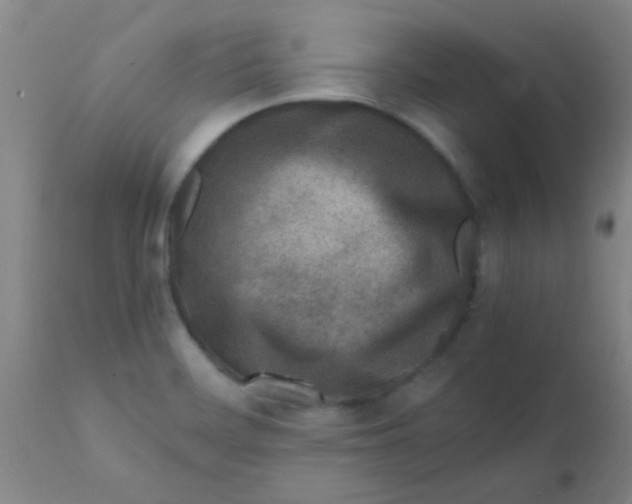 X0000110731468200907022058