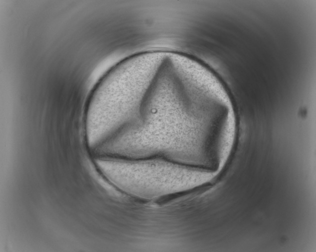 X0000110731469200907022058