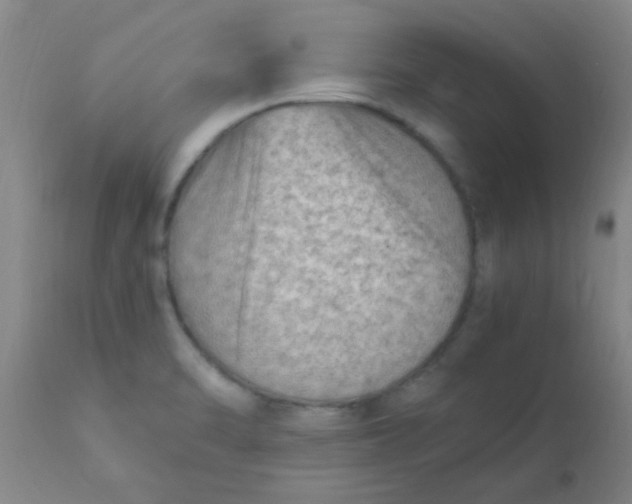 X0000110731470200907022058