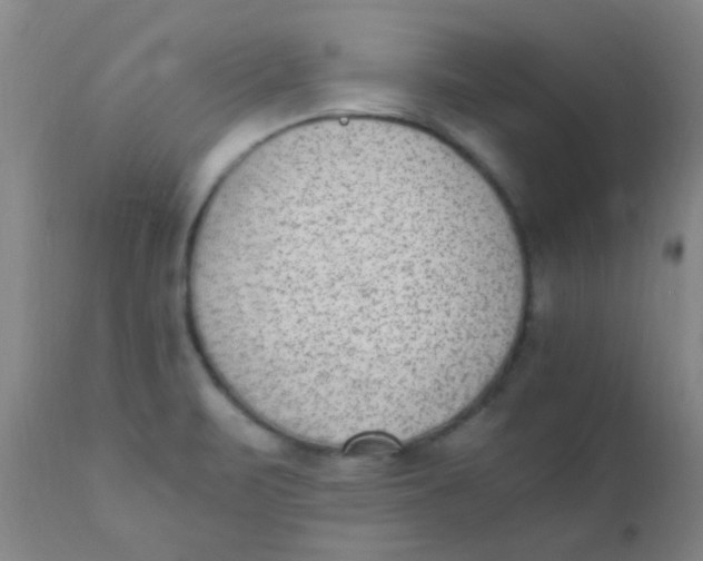 X0000110731471200907022058