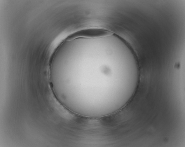 X0000110731472200907022058