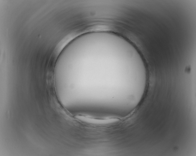 X0000110731473200907022058