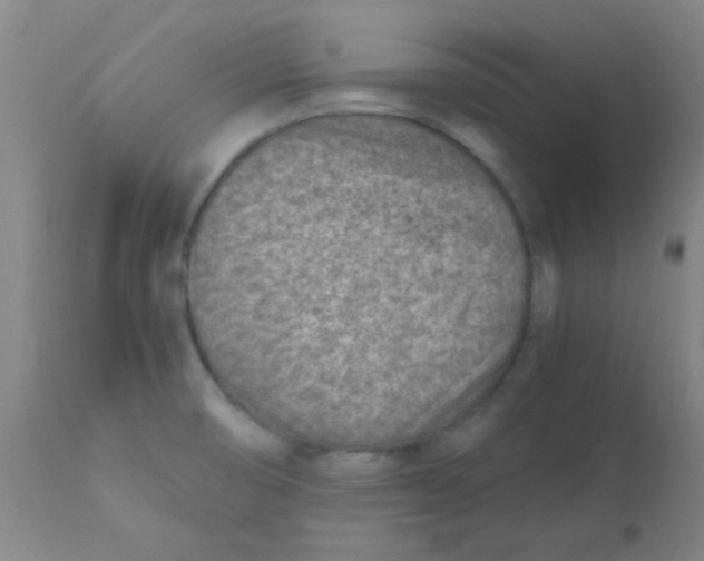 X0000110731474200907022058