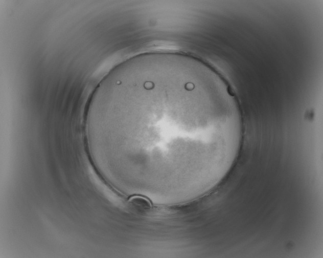 X0000110731475200907022058