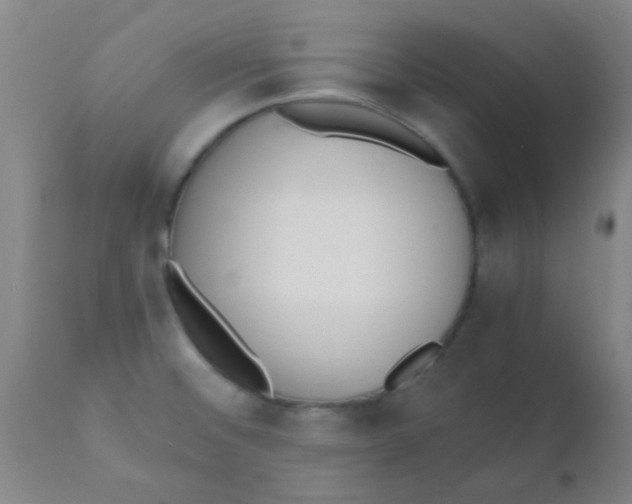 X0000110731476200907022058