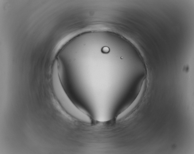 X0000110731477200907022058