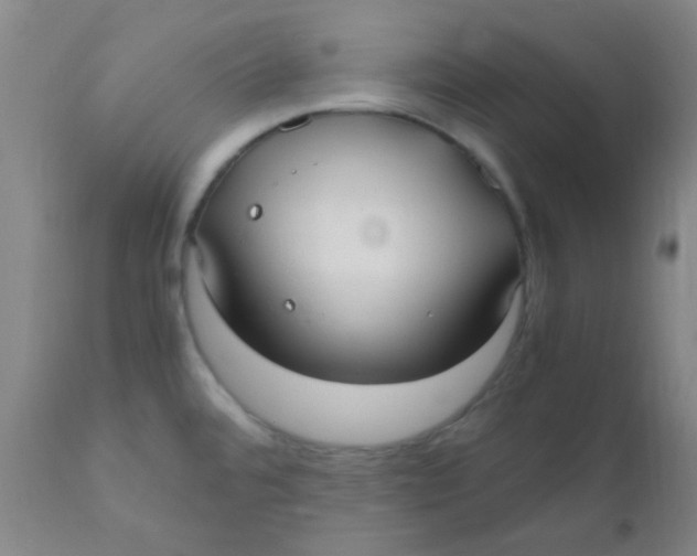 X0000110731480200907022058