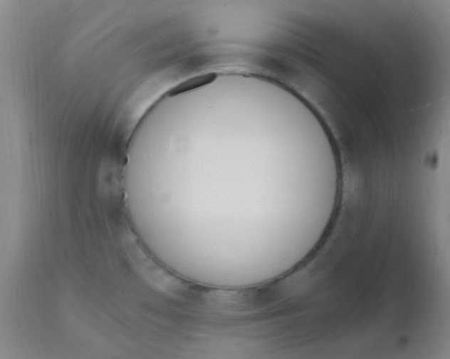 X0000110731481200907022058