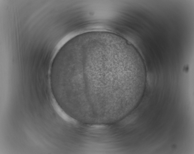 X0000110731482200907022058