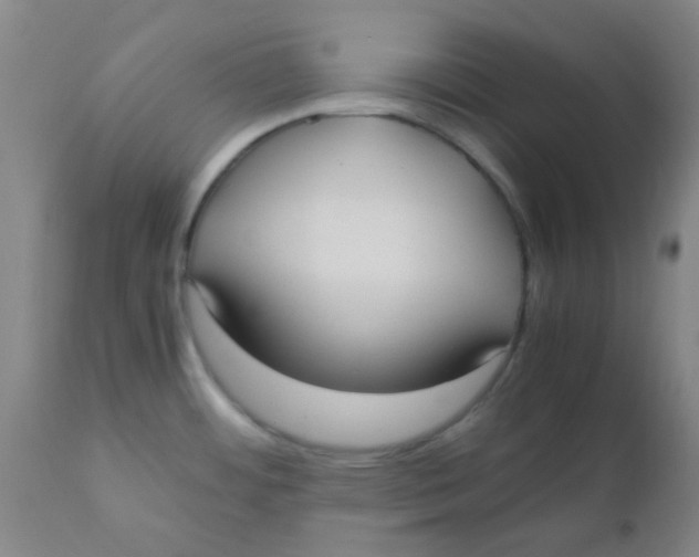 X0000110731484200907022058