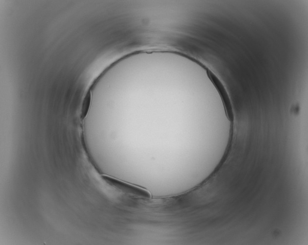 X0000110731485200907022058