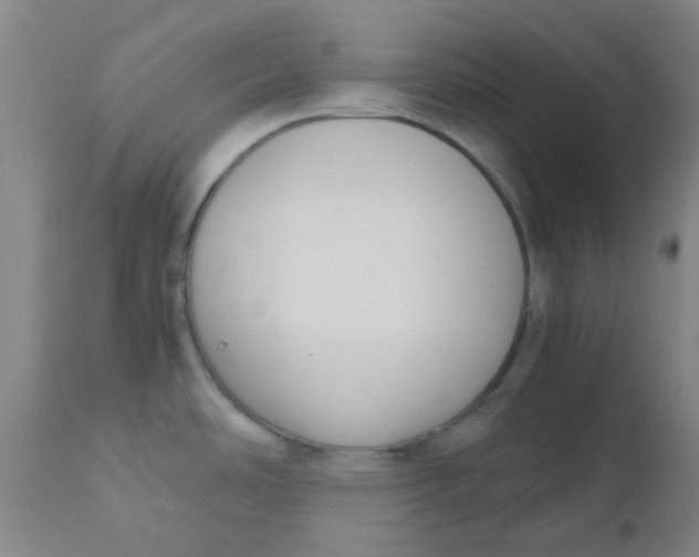 X0000110731486200907022058