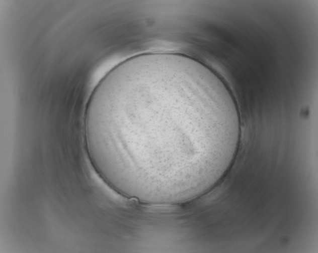 X0000110731487200907022058