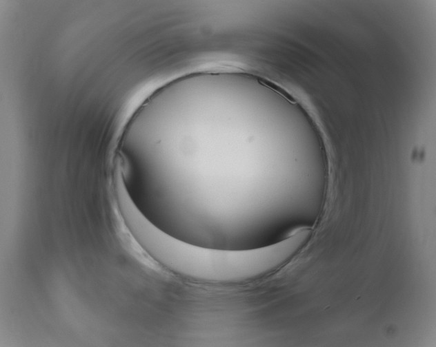 X0000110731488200907022058