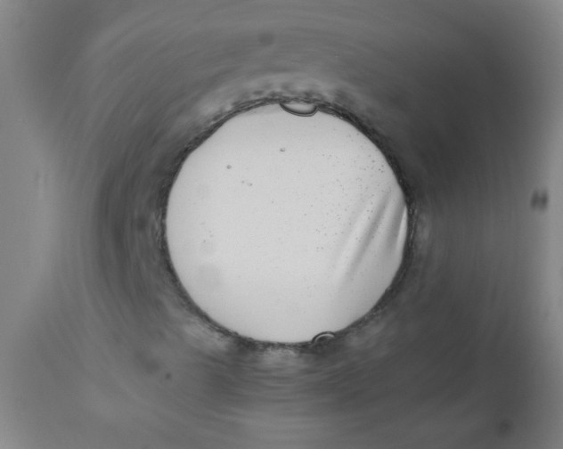 X0000110731489200907022057