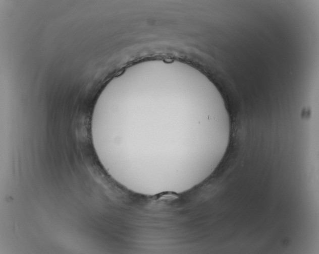 X0000110731490200907022057