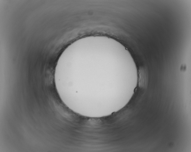 X0000110731491200907022057