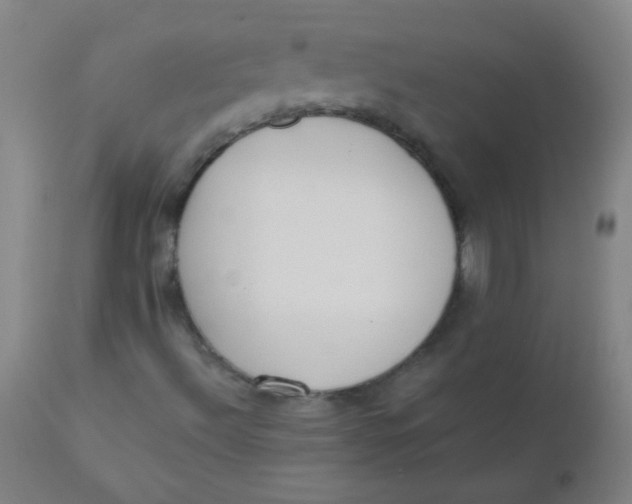 X0000110731492200907022057